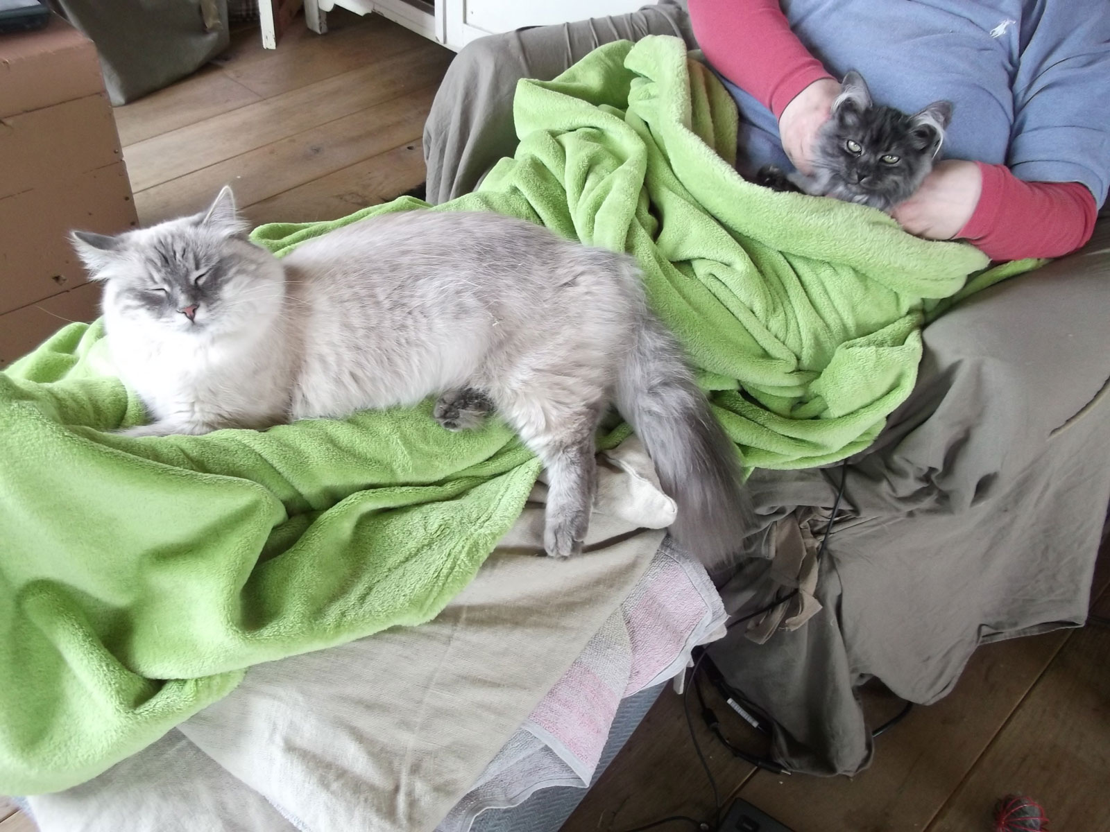 Mila en Zariya op de schoot